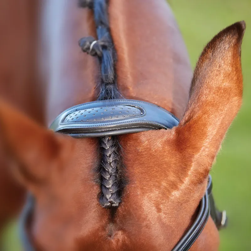 Collegiate ComFiTec Training Bridle in Black-3