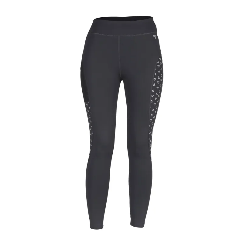 Aubrion Coombe Riding Tights in Reflective-2