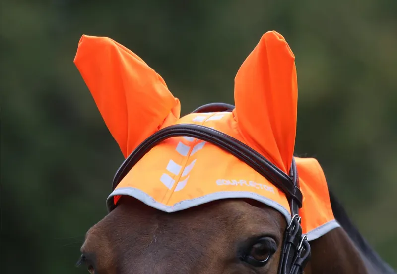 EQUI-FLECTOR Fly Veil Orange
