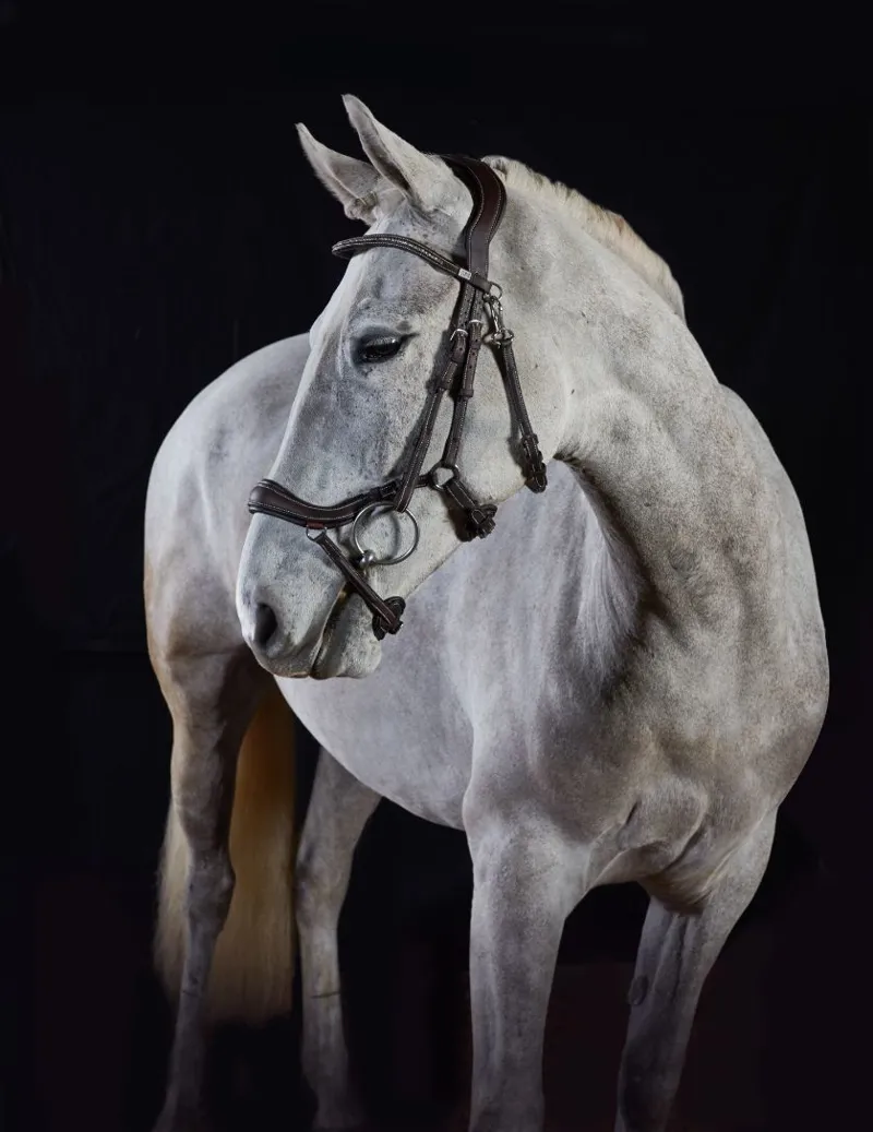 GFS Premier Prosperity Bridle in Brown-1