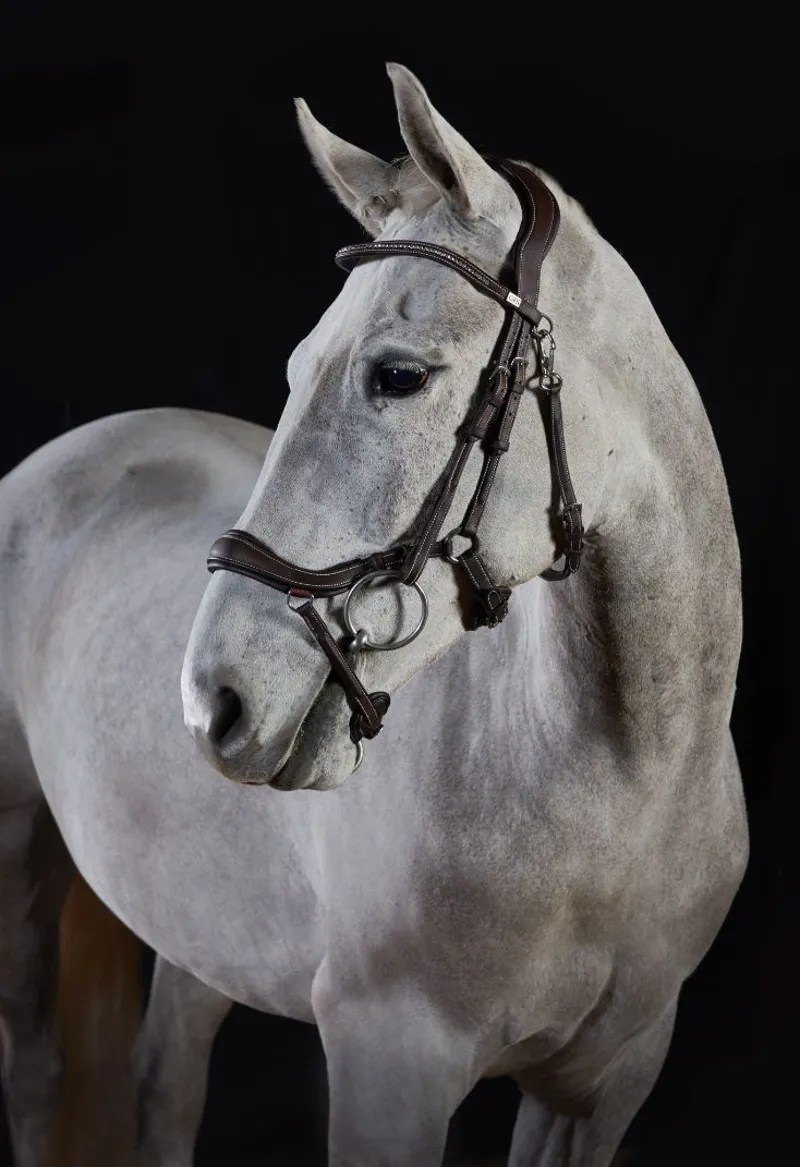 GFS Premier Prosperity Bridle in Brown-2