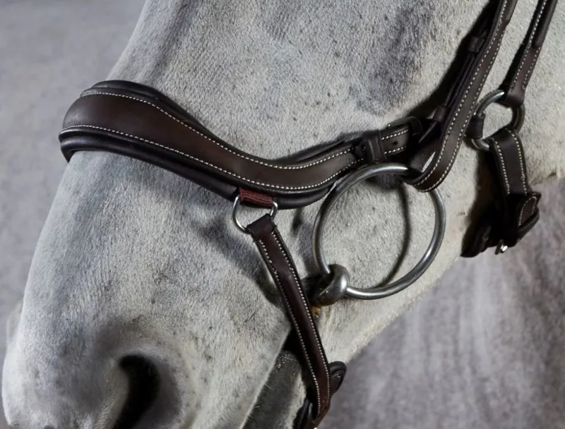 GFS Premier Prosperity Bridle in Brown-3