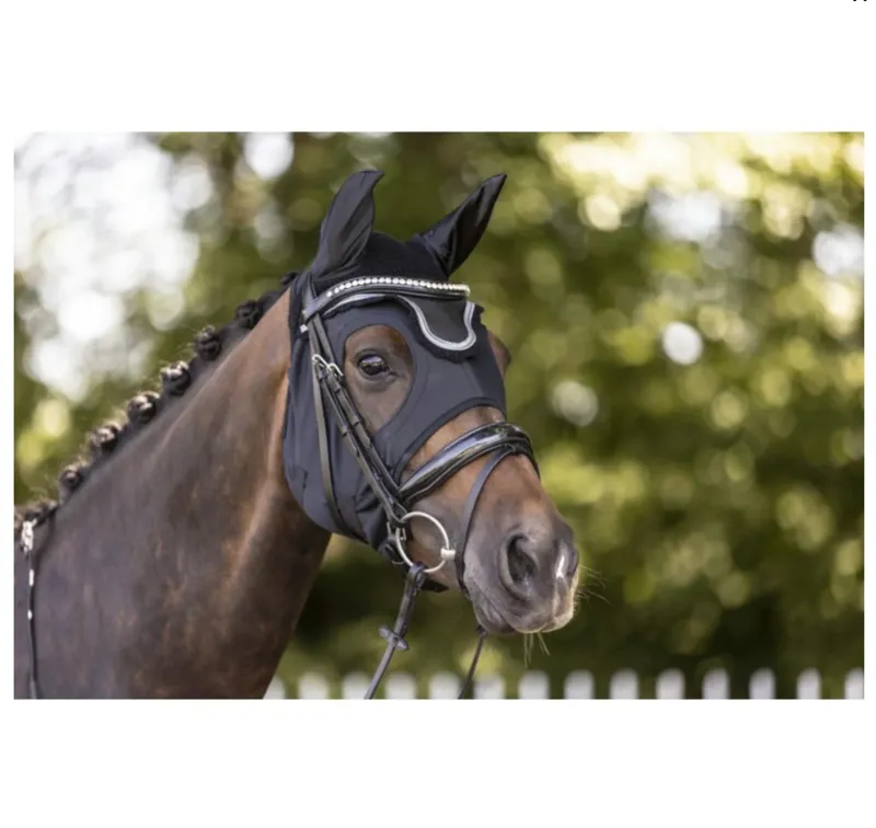 Lami-Cell Come Best Titanium Mask - No Ears-4