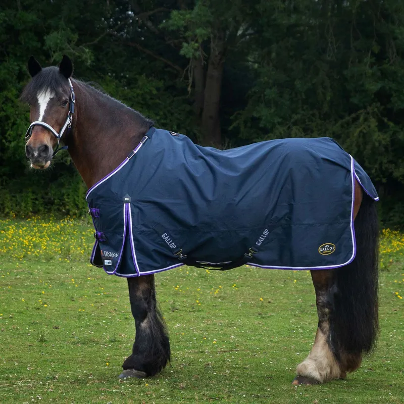 Gallop 600D Trojan 0g Duraproof 5-Point Turnout Rug - Navy