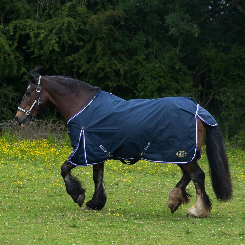 Gallop 600D Trojan 0g Duraproof 5-Point Turnout Rug - Navy-3