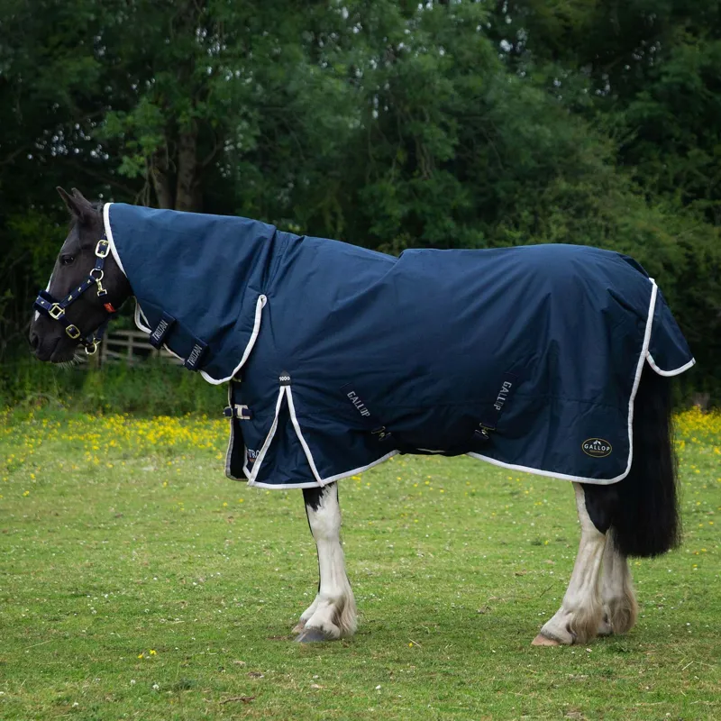 Gallop 600D TROJAN 100g Duraproof Combo Turnout Rug