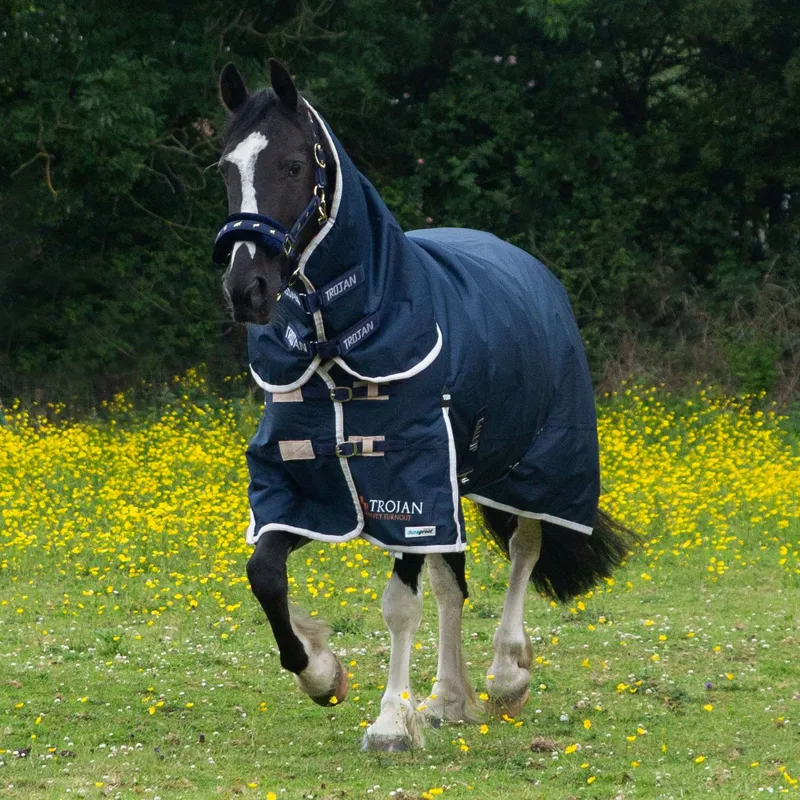 Gallop 600D TROJAN 100g Duraproof Combo Turnout Rug-4