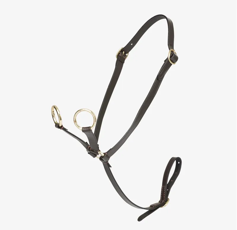 LeMieux Toy Pony Martingale - Brown