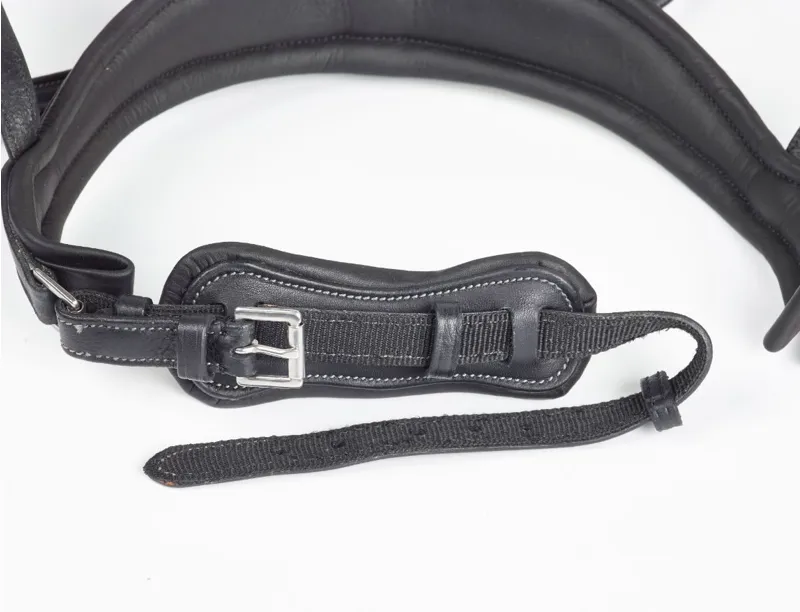 GFS Premier Prime Bridle in Brown-1