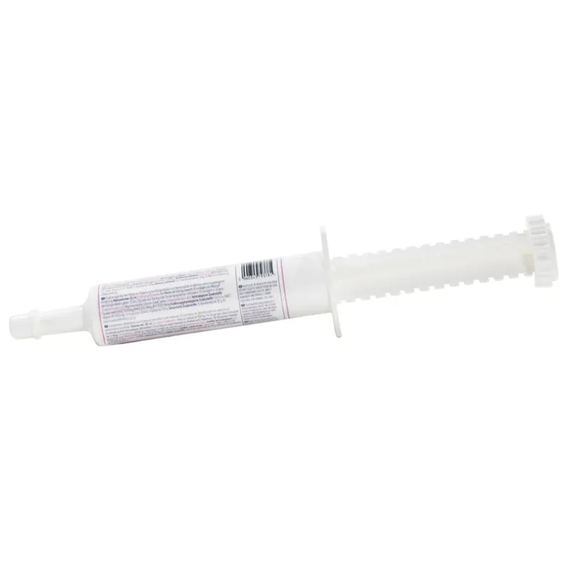 Equine America So-Kalm Paste Syringe 30ml-1