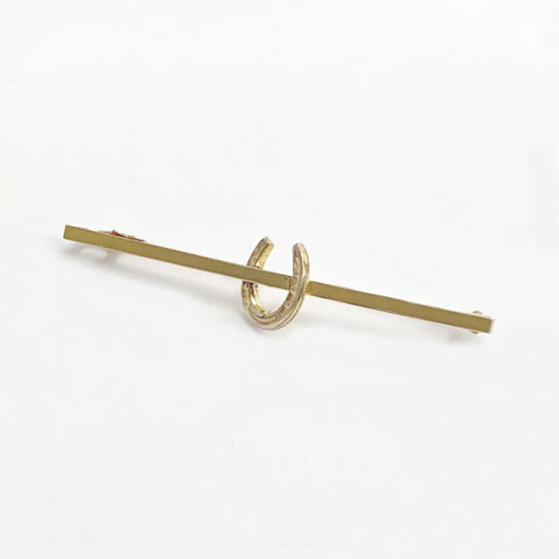 Equetech Stock Pin - Horseshoe - Gold-1