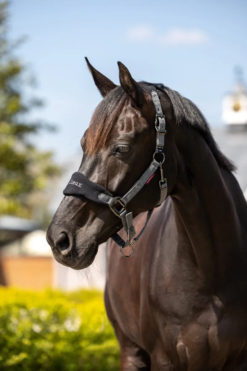 LeMieux Vogue Headcollar and Leadrope - Black-1
