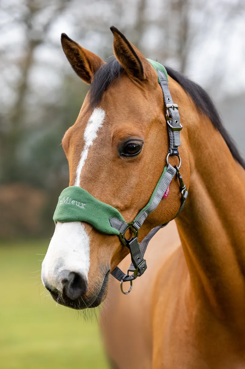 LeMieux Vogue Headcollar and Leadrope - Hunter Green-1