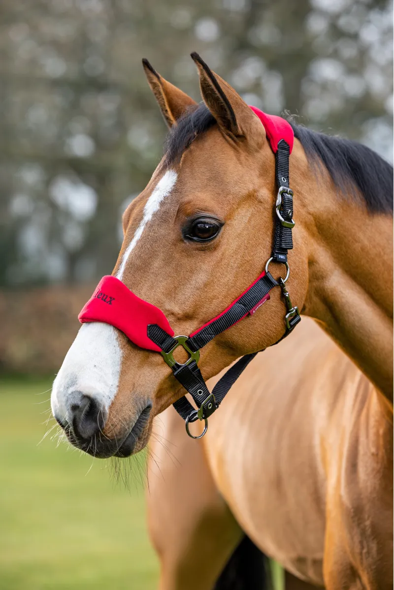 LeMieux Vogue Headcollar and Leadrope - Chilli-1