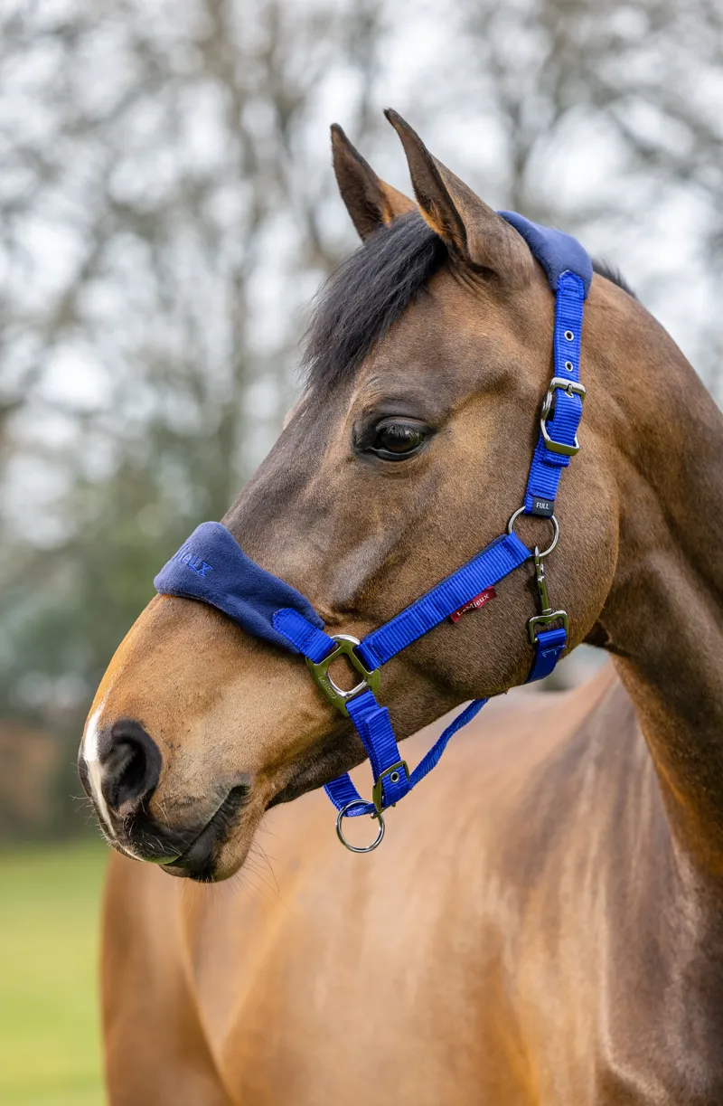 LeMieux Vogue Headcollar and Leadrope Blue-1