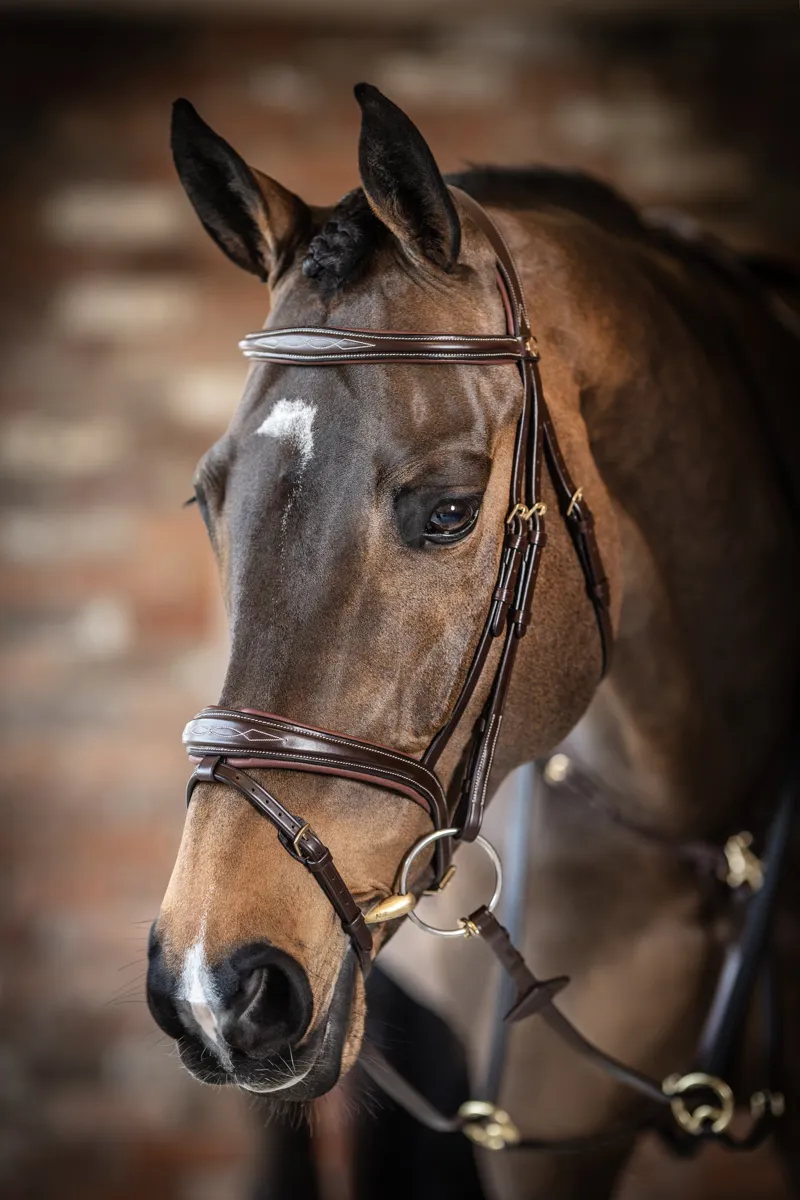 LeMieux Kudos Competition Flash Bridle Havana-5