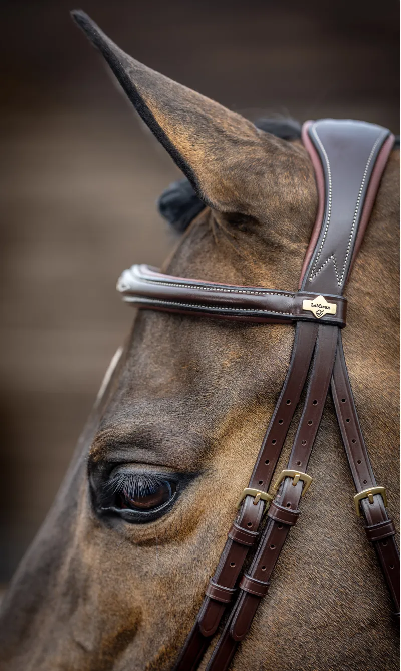 LeMieux Kudos Competition Flash Bridle Havana-4