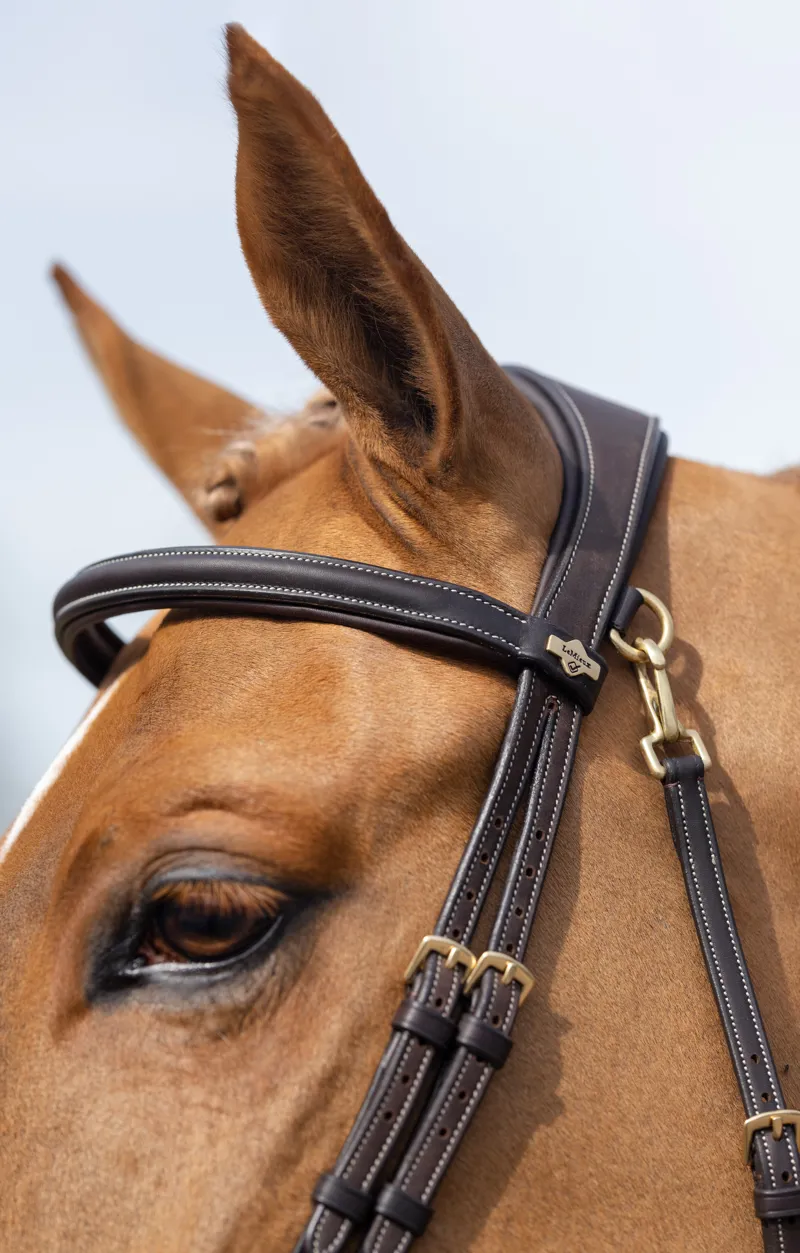 LeMieux Kudos Work Bridle Brown-3
