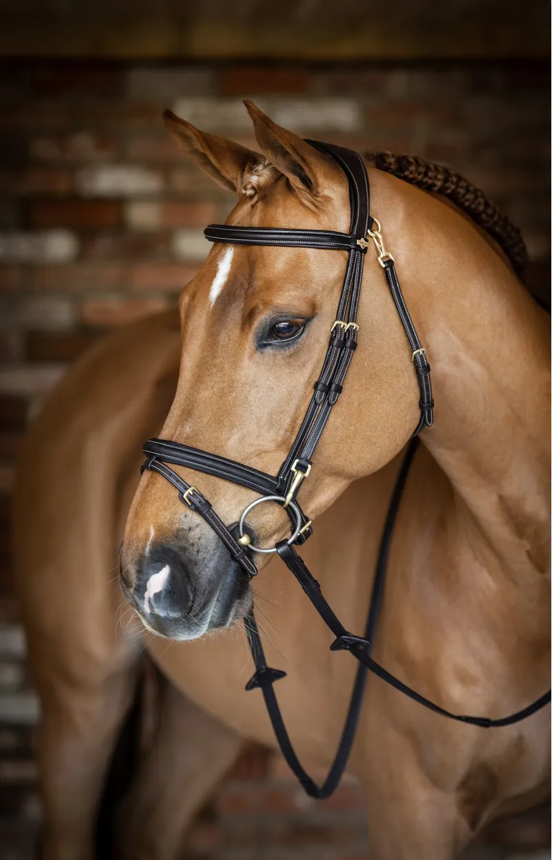 LeMieux Kudos Work Bridle Brown