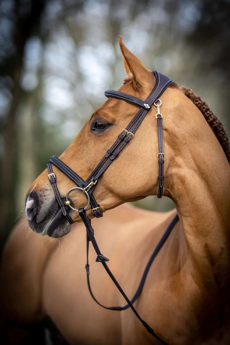 LeMieux Kudos Work Bridle Brown-4