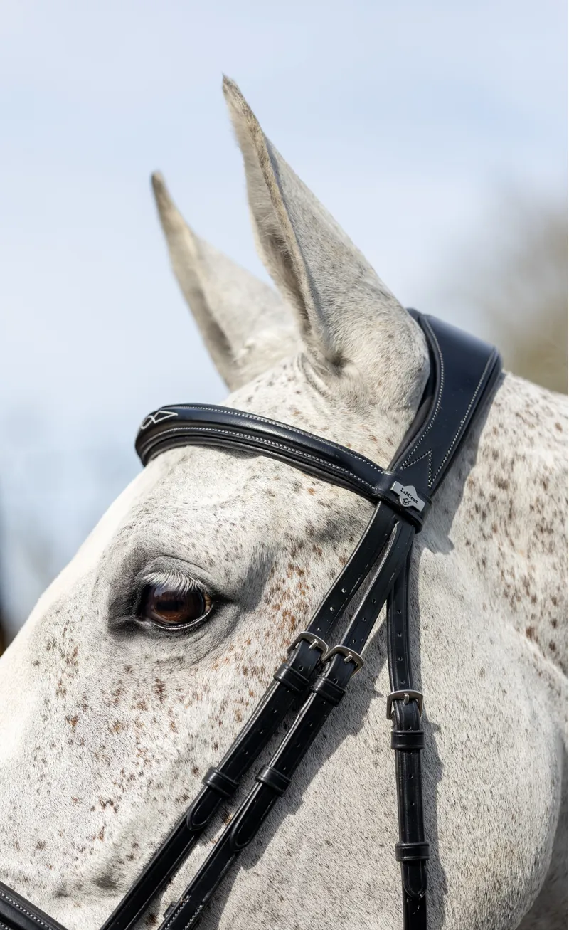 LeMieux Kudos Competition Flash Bridle Black-3