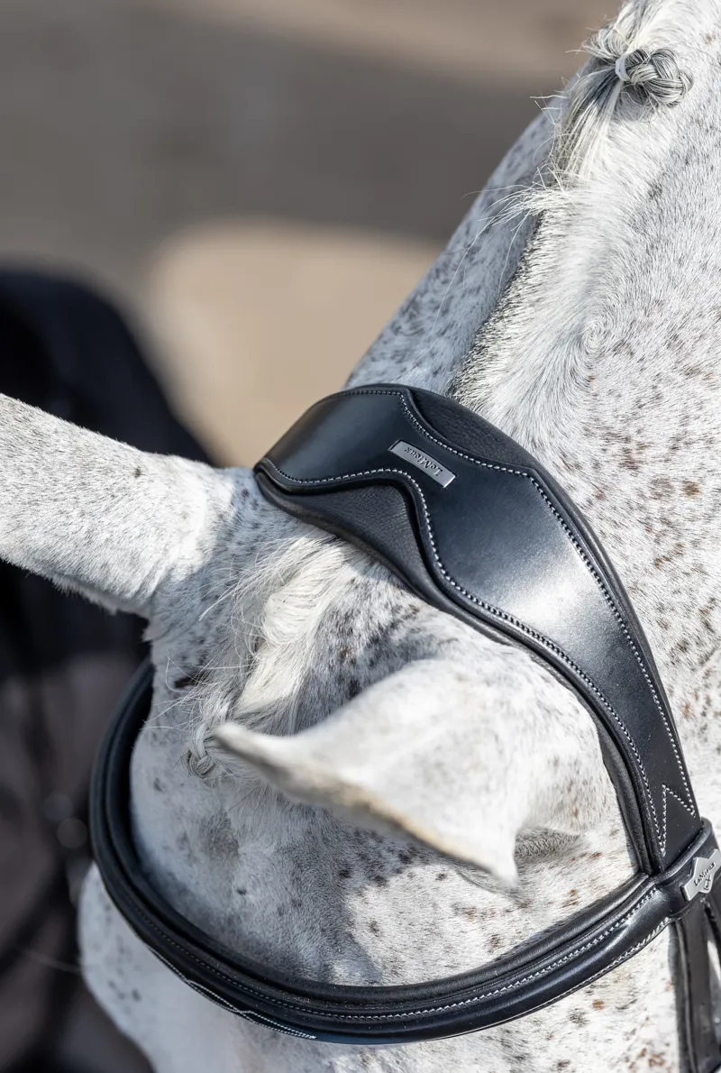 LeMieux Kudos Competition Flash Bridle Black-4