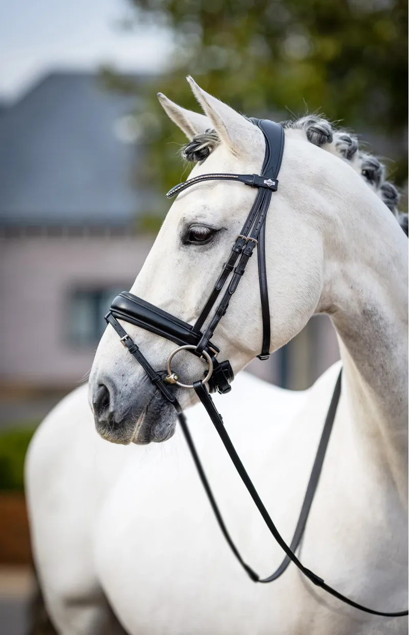 LeMieux Kudos Classic Dressage Bridle-4