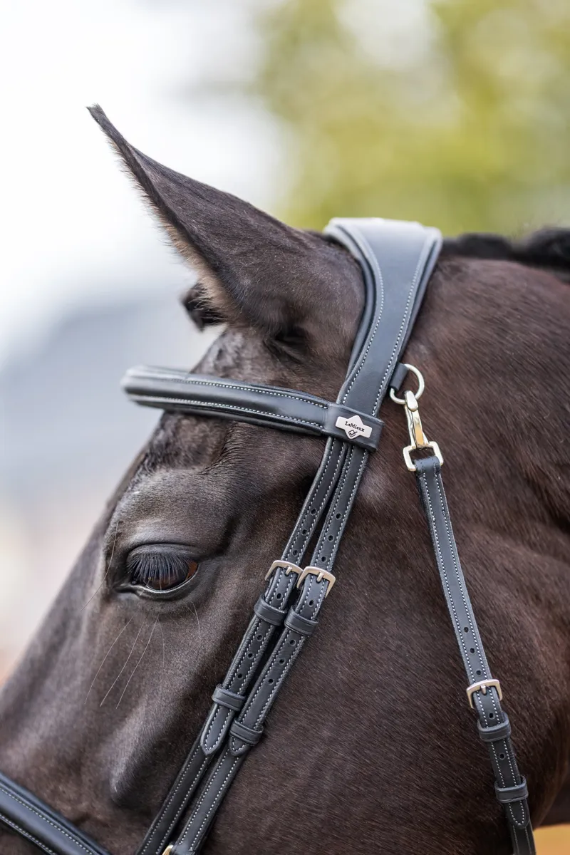 LeMieux Kudos Work Bridle Black-3