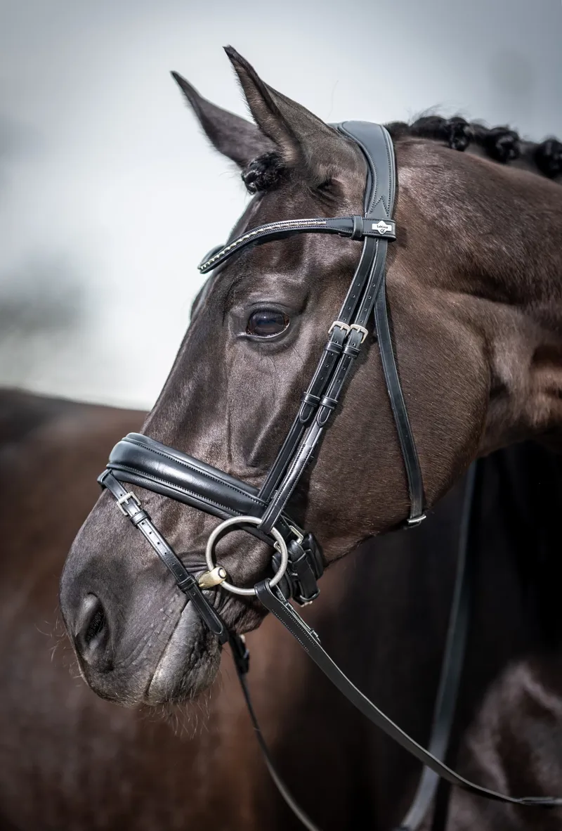 LeMieux Kudos Classic Dressage Bridle-3
