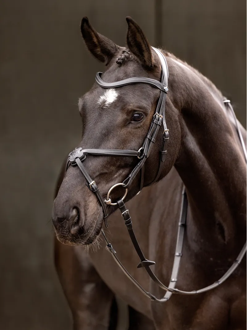 LeMieux Arika Grackle Bridle Black Silver -5