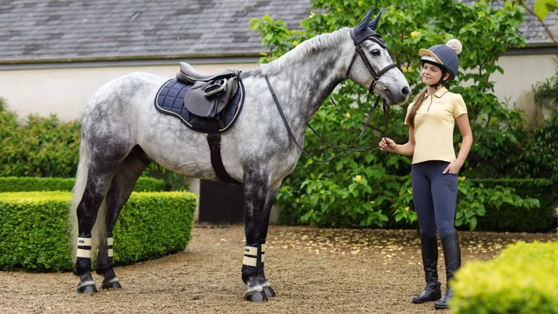 LeMieux Loire Classic GP Square Dusk-1