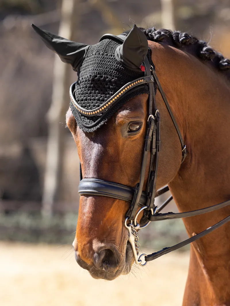 LeMieux Vogue Fly Hood Black-1