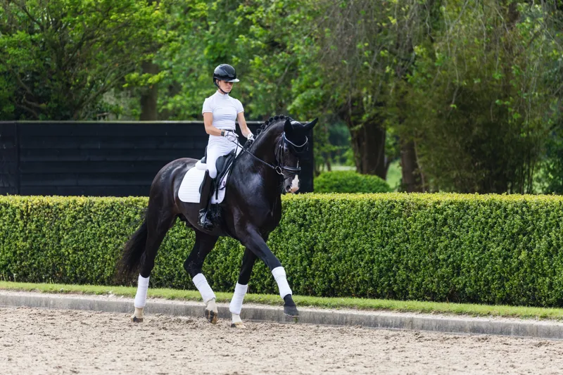 LeMieux Suede Dressage Square - White-1