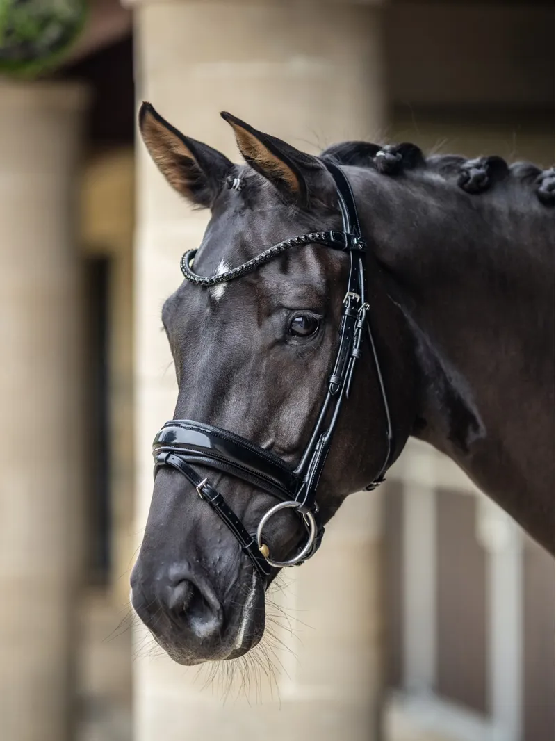 LeMieux Kudos Patent Dressage Bridle Black Full-6