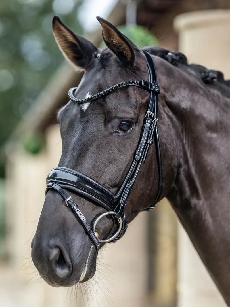 LeMieux Kudos Patent Dressage Bridle Black Full-1