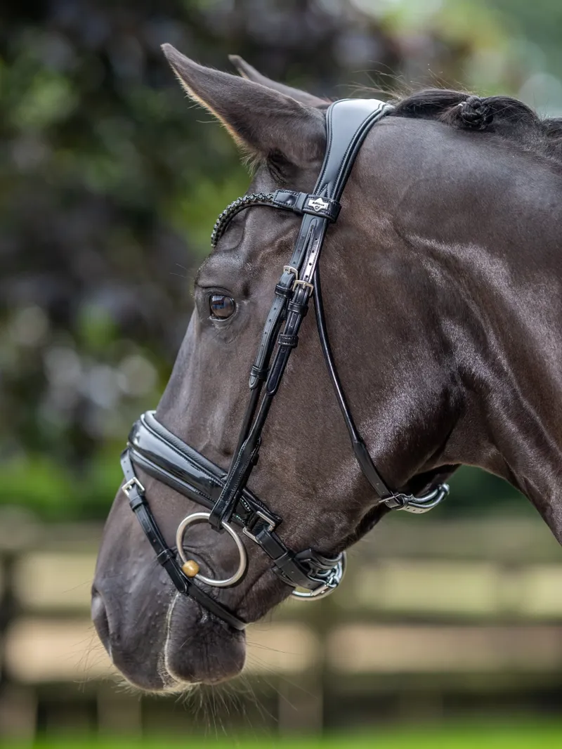 LeMieux Kudos Patent Dressage Bridle Black Full-3