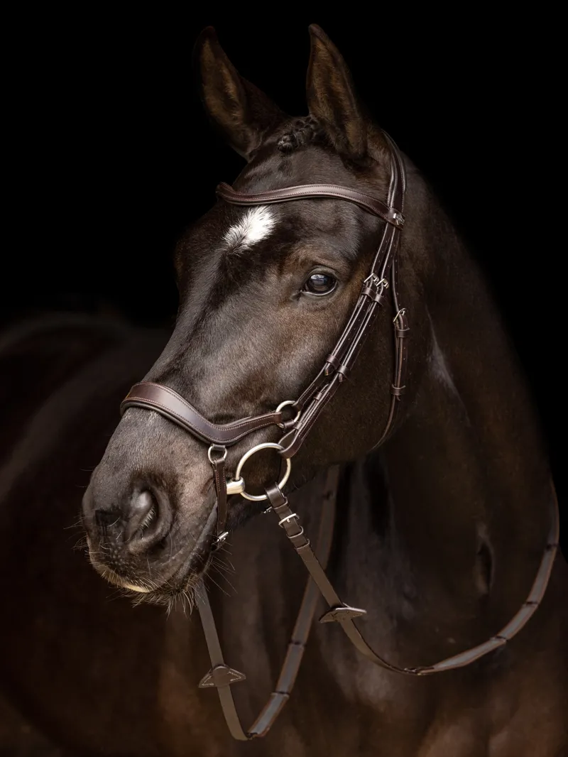 LeMieux Arika Drop Bridle Brown Silver -4