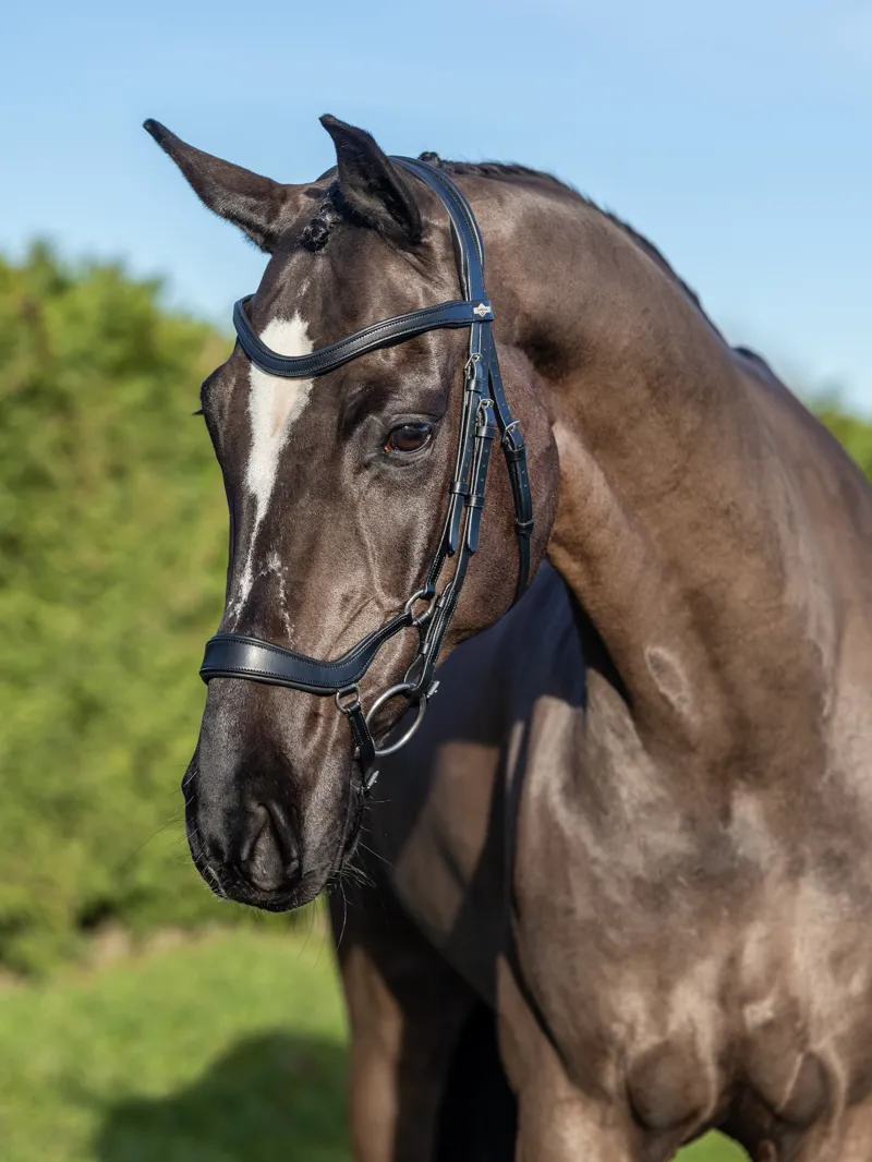 LeMieux Arika Drop Bridle Black Silver-5
