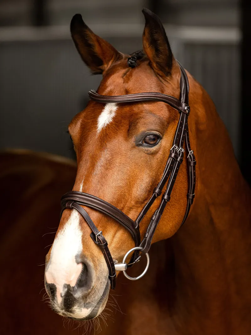 LeMieux Arika Flash Bridle Brown/Silver-4
