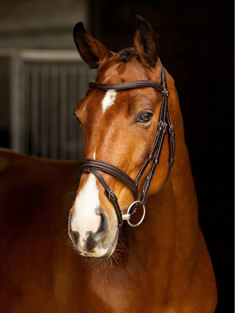 LeMieux Arika Flash Bridle Brown/Silver-1