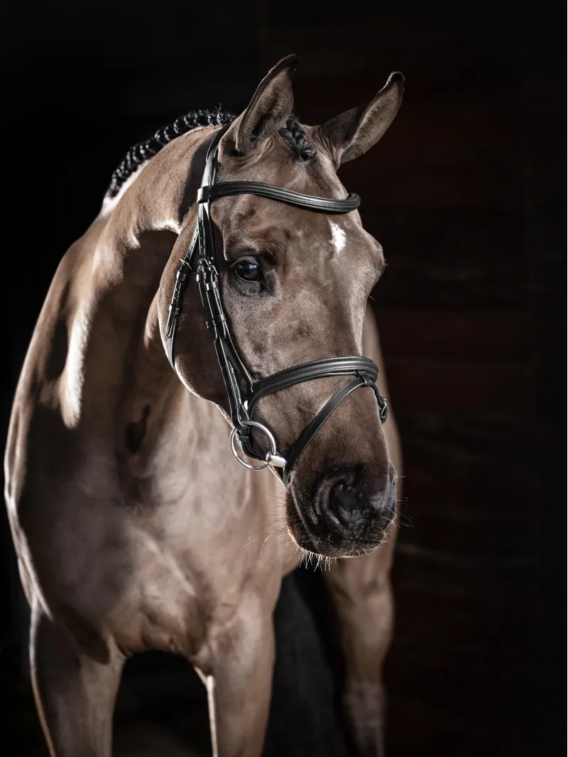 LeMieux Arika Flash Bridle Black/Silver-1