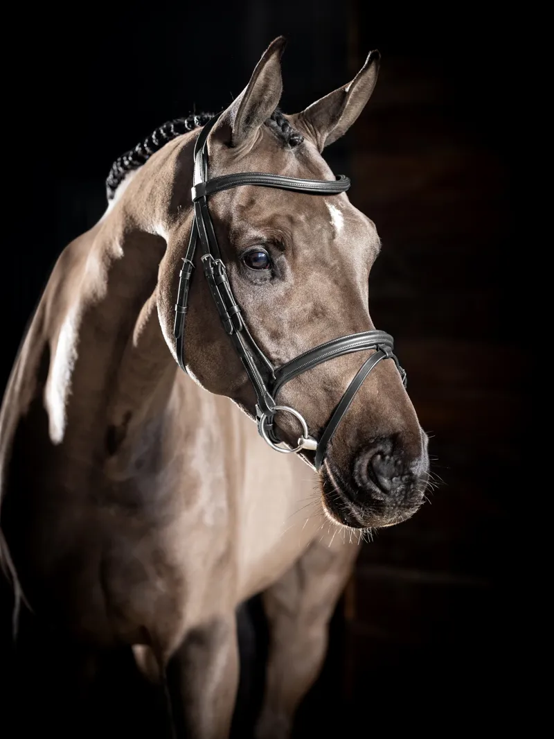 LeMieux Arika Flash Bridle Black/Silver-4