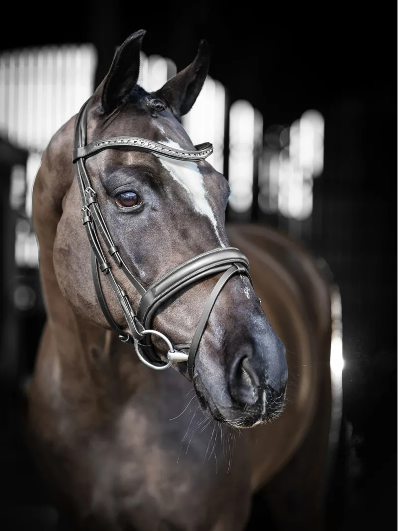 LeMieux Arika Dressage Bridle Black/Silver Full-1