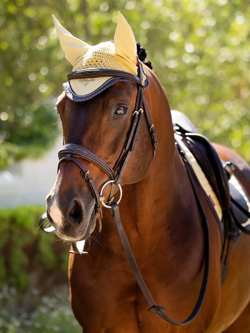 LeMieux Classic Fly Hood Mimosa-1