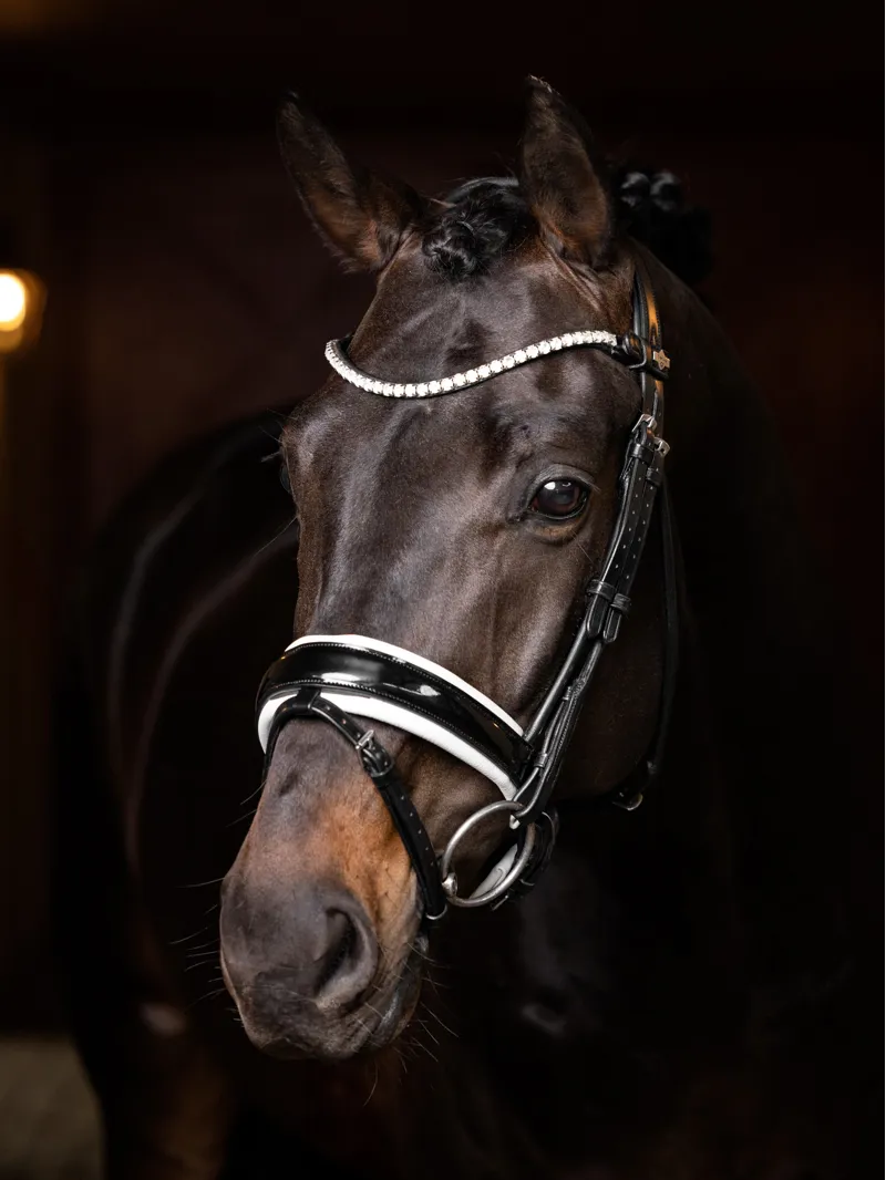 LeMieux Ice Crystal Browband - Black - Full