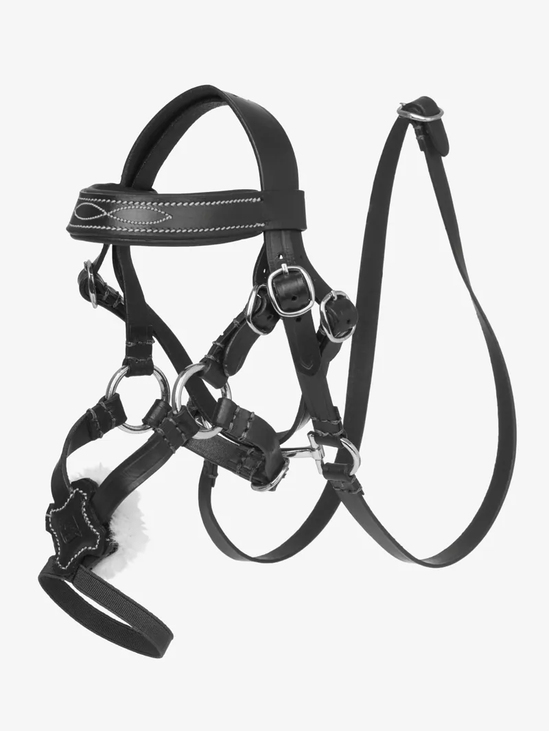 LeMieux Toy Pony Grackle Bridle Black