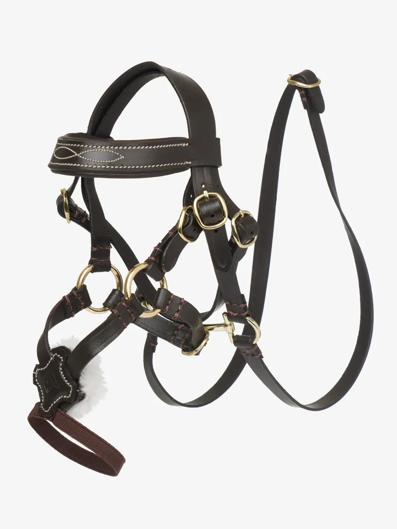 LeMieux Toy Pony Grackle Bridle Brown