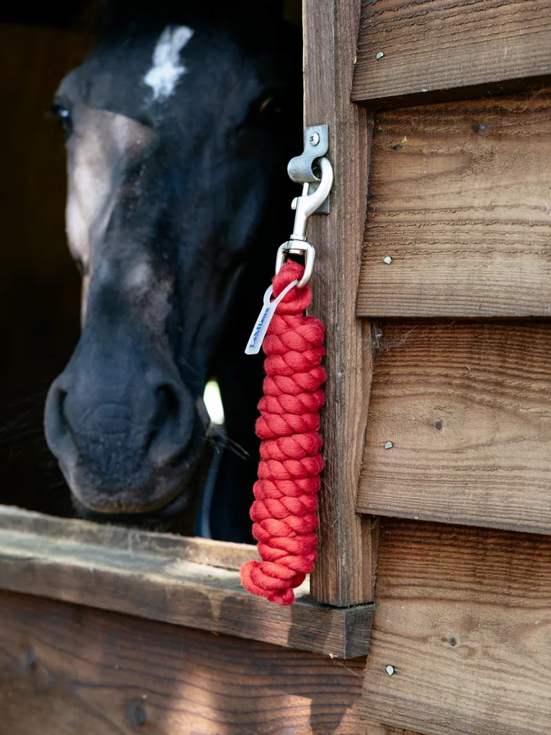 LeMieux Polycotton Lead Rope - Chilli-1