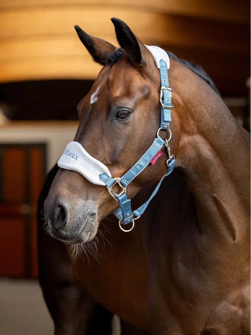 Lemieux Vogue Headcollar and Leadrope - Ice Blue-1