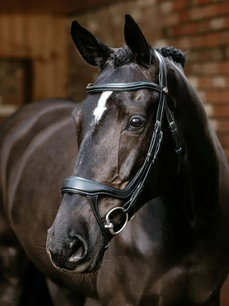 LeMieux Arika Split Noseband Bridle - Black